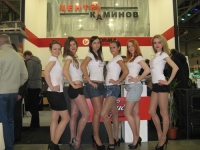 Завершилась выставка «Салон каминов-2013»